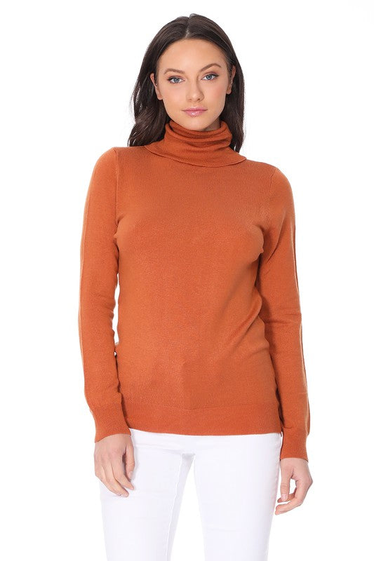 Turtleneck Spandex Stretch Pullover Sweater