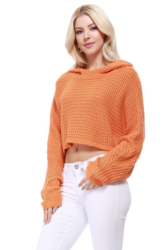 Bat Wing Sleeve Crop Waffle Knit Hoodie Top