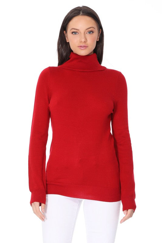 Turtleneck Spandex Stretch Pullover Sweater