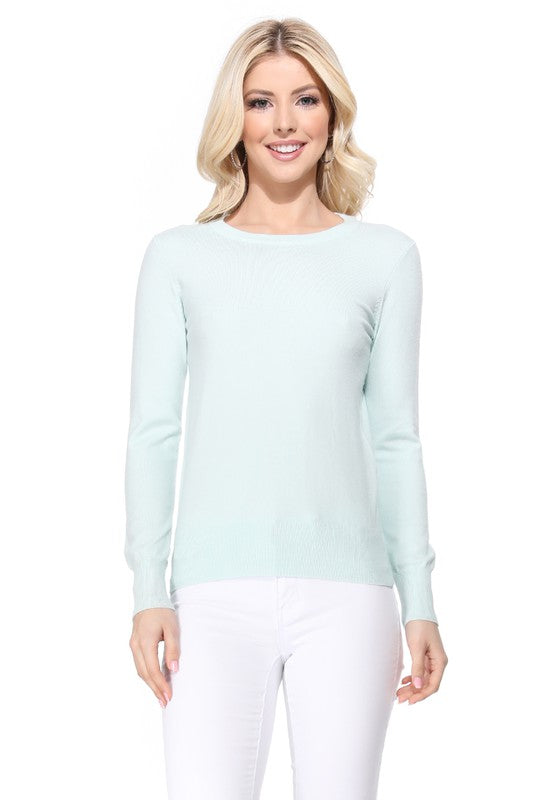 Crew Neck Long Sleeve Light Basic Casual Knit Top